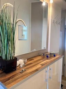 a bathroom counter with a large mirror and a potted plant at Am Seedeich 7 SE10 Seesicht in Cuxhaven +16 photos