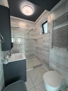 a bathroom with a toilet and a sink and a shower at Luxury apartment with sea view in Mamaia Sat/Năvodari +18 photos
