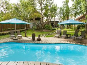 a swimming pool with chairs and umbrellas at Oakdene Guest House in Oudtshoorn