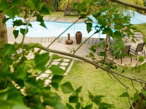 a swimming pool in a yard with vases at Oakdene Guest House in Oudtshoorn +29 photos