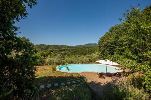 a swimming pool in a field with an umbrella at Paradis Oasis Santa Maria in Chiusdino