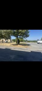 a road with a car parked next to a tree at Chambre la paix lot in Payrac