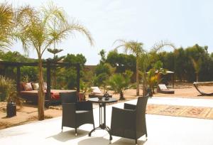 a patio with a table and chairs and palm trees at TigerLounge in Douaïra +10 photos