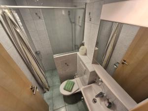 a bathroom with a shower and a toilet and a sink at FeWo Aquileia Scuol, Gratisparken, Terrasse, Wifi, flexible Zimmerwahl, Familien in Scuol +55 photos