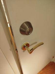 a door with a brass door knocker on a door at Rooms in the center City in Barcelona