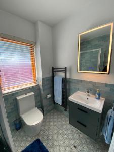 a bathroom with a toilet and a sink at Dunboyne Apartment in Dunboyne +22 photos