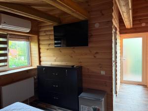 a room with a tv and a dresser in a log cabin at Міні-готель На Росі in Steblëv