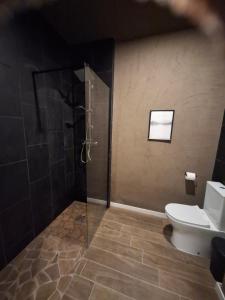 a bathroom with a shower and a toilet and a sink at Musa in Valencia +11 photos