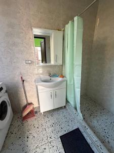 a bathroom with a sink and a shower with a mirror at Green Home in Kobuleti
