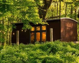 a small house in the woods with trees at Krusmølle Glamping in Aabenraa
