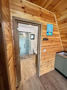 a bathroom with a toilet in a wooden wall at ValceleLakeRetreat in Merişani