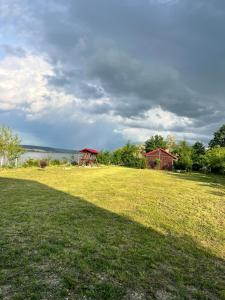 a grassy field with a gazebo in the distance at ValceleLakeRetreat in Merişani