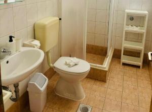 a bathroom with a toilet and a sink and a shower at Apartments Bacic in Prizba