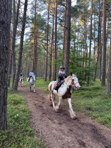 two people riding horses down a dirt road at SosnowoMi in Lubiatowo
