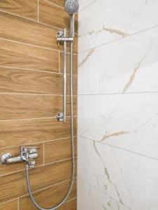 a shower with a shower head in a bathroom at Apartpan Lekic in Bar +2 photos