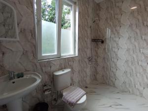 a bathroom with a sink and a toilet and a window at Andrea's hays in Kobuleti +36 photos