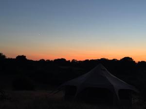 a tent in a field with the sunset in the background at Sunset view in Hereford +12 photos