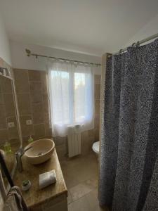a bathroom with a shower and a sink and a toilet at Studio au 1er étage à la campagne in Callian