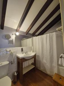 a bathroom with a sink and a toilet and a shower at Posada torre del milano in Comillas