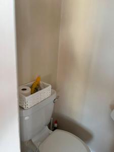 a bathroom with a toilet with a basket on top of it at Triple Room with Private Bathroom at Caroline's Guest House, River Street, Clara in Tara +4 photos
