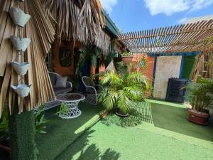 a patio with a bunch of plants in a yard at Valle Romantico in Manoguayabo +12 photos