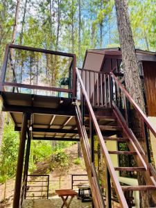 a tree house in the woods with a staircase at Jeden Glass House Mountain View in Canayan