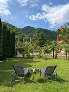 two chairs and a table in the grass at Pensiunea Cristalis in Săliştea