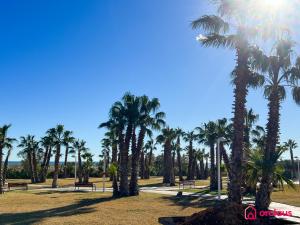 a group of palm trees in a park with benches at Altamar Imperial in Cabanes +47 photos