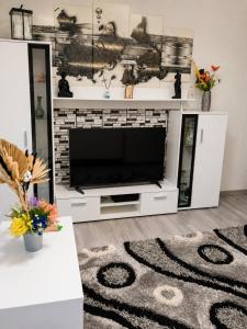 a living room with a television and a fireplace at Best view house in Orşova +6 photos