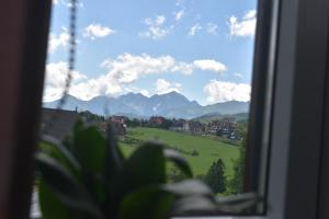 a window with a view of a green field and mountains at Pokoje gościnne u Kasecki in Murzasichle