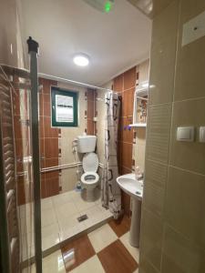 a bathroom with a toilet and a sink at Staro Lane in Sjenica