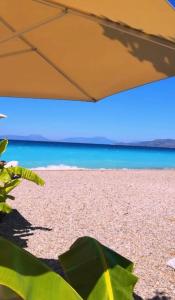 a close up of a tent on a beach at Kiato City Stay in Kiaton