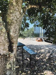 a bench sitting under a tree next to a tree at Tiny House in Pereiro