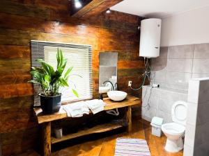 a bathroom with a table with a plant on it at Suputnyk in Rakhiv