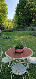 a table with a potted plant on it with two chairs at La Halte D'Aristide - Parking in Cravanche