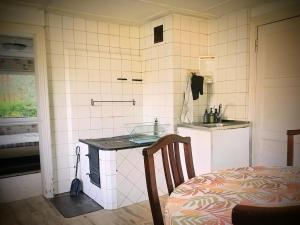 a kitchen with a sink and a counter in a room at Heinamaa Lodge with sauna in Lammasküla