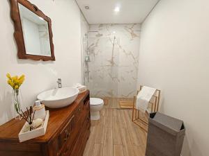 a bathroom with a sink and a toilet and a mirror at Casa Teles in Peso da Régua +12 photos
