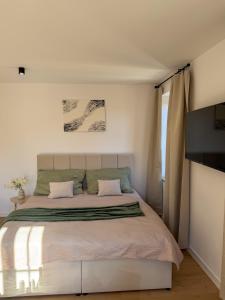 a bedroom with a bed and a flat screen tv at Spim na Rabí in Raby