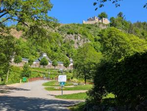 a hill with a castle on top of it at Pension Hofer in Bad Berneck im Fichtelgebirge