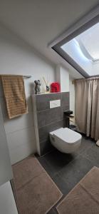 a bathroom with a white toilet and a skylight at Casa Sole in Murg