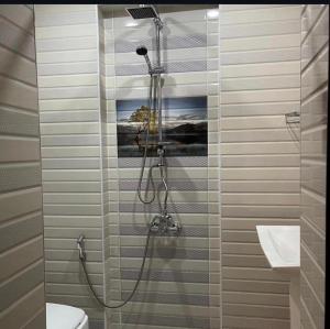 a bathroom with a shower with a toilet and a sink at Sheki Villa boutique in Sheki +33 photos