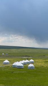 a group of white tents sitting in a field at BooGoo yurt camp in Song-Kul