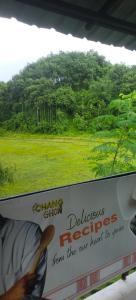 a view of a field from a train window at ChangGhor in Digru +2 photos