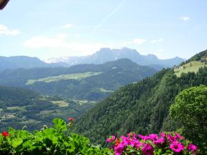 a view of a valley with pink flowers and mountains at Malsethhof in Villandro