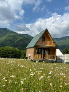 a house with a green roof in a field of flowers at Pine House Borjomi , Mountain View in Borjomi