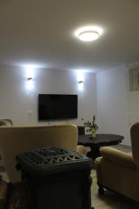 a living room with a couch and a flat screen tv at Agroturystyka u Basi i Waldka in Zelwa