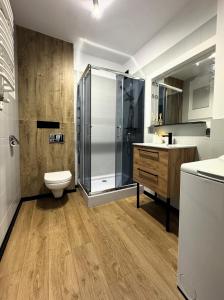 a bathroom with a shower and a toilet and a sink at Apartament Słoneczny 31 in Czechowice-Dziedzice
