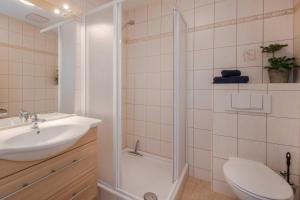 a bathroom with a toilet and a sink and a shower at Ferienwohnung Thurbruch in Zirchow