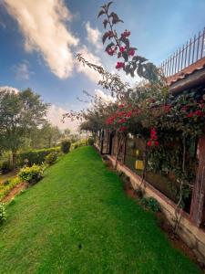 a garden with roses on the side of a building at Ivy Hill in Yedapalli +13 photos