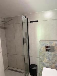 a shower with a glass door in a bathroom at Agroturystyka Rajski Ogród in Mysłakowice